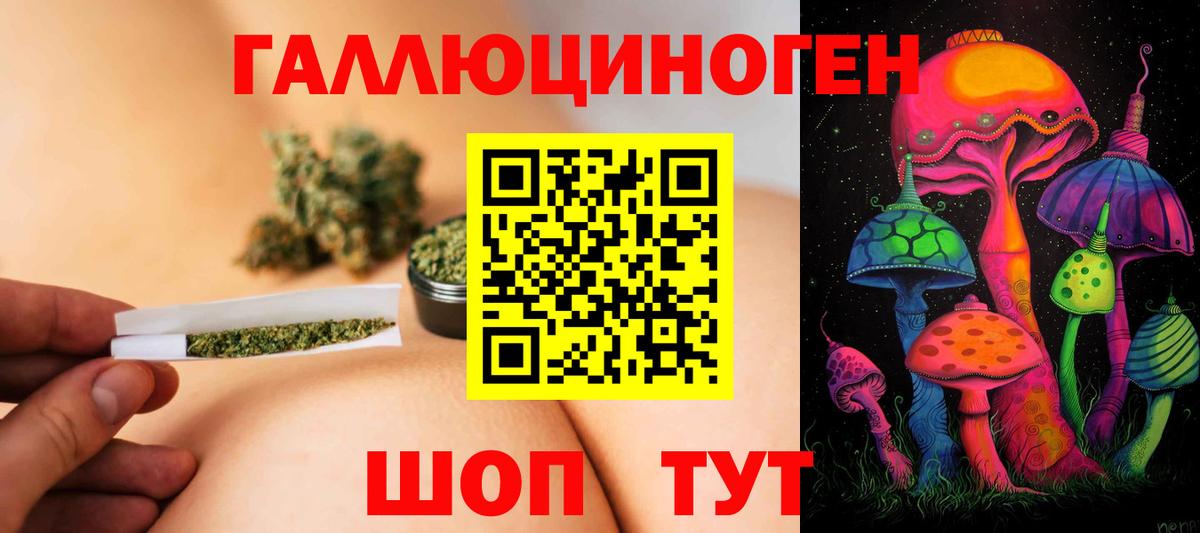 Елабуга  Псилоцибиновые грибы мухоморы  Вход с VPN 